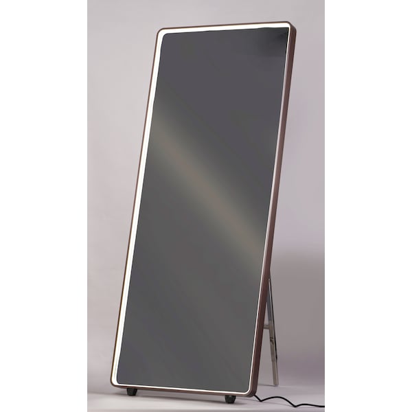 Mirror 1-Light 27.5 Wide Anodized Bronze LED Mirror